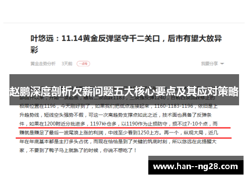 赵鹏深度剖析欠薪问题五大核心要点及其应对策略