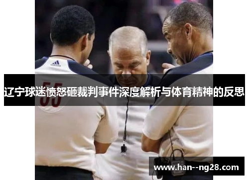 辽宁球迷愤怒砸裁判事件深度解析与体育精神的反思